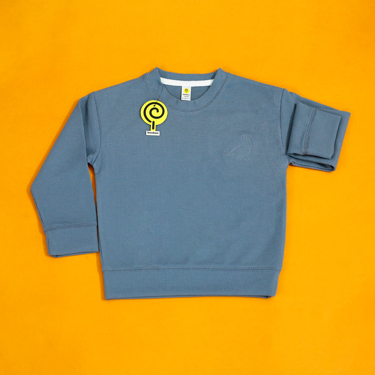 Little dino ice blue full sleeves tee