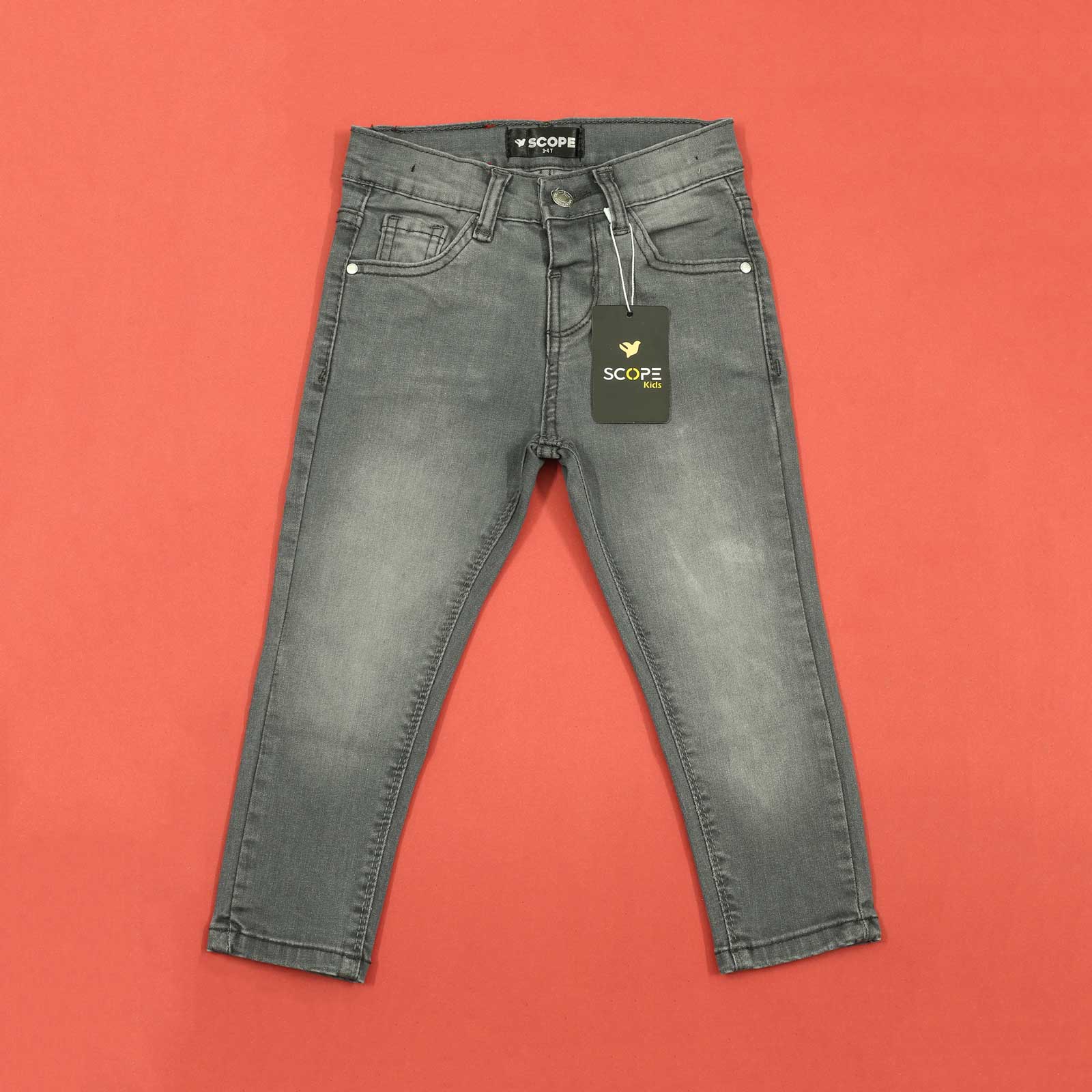 Grey Blasted Pants