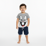 Load image into Gallery viewer, Bugs Dolphin Set
