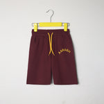 Load image into Gallery viewer, Dino Maroon Set
