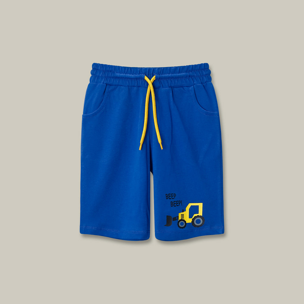 Trucks Royal Blue Shorts